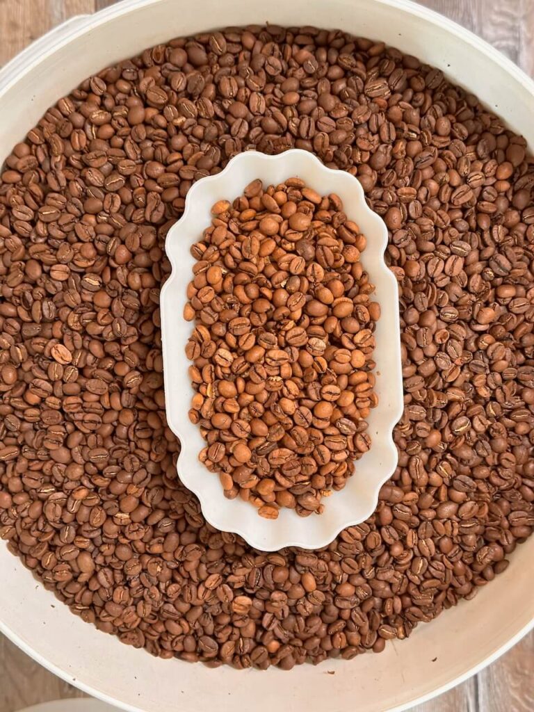 Sortierte Kaffeebohnen aus der optischen Sortieranlage in der Prüfschale